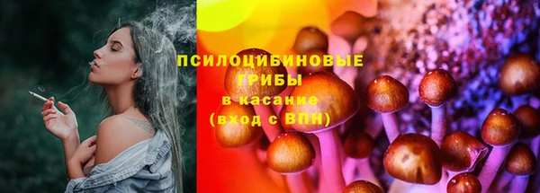 крисы Куйбышев
