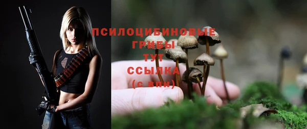 крисы Куйбышев