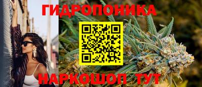 mdma Камышлов