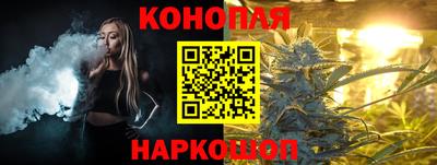 гидра Бийск