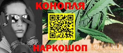 mdma Камышлов