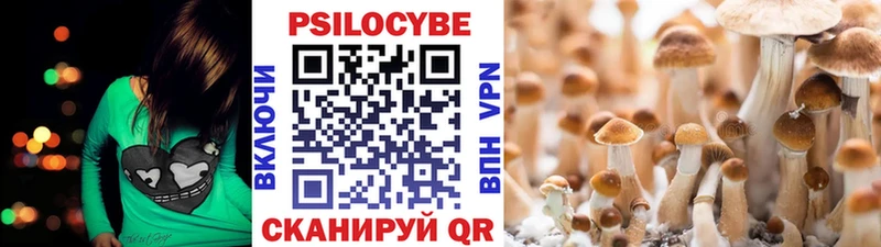 ссылка на мегу сайт  Серпухов  Галлюциногенные грибы Cubensis 