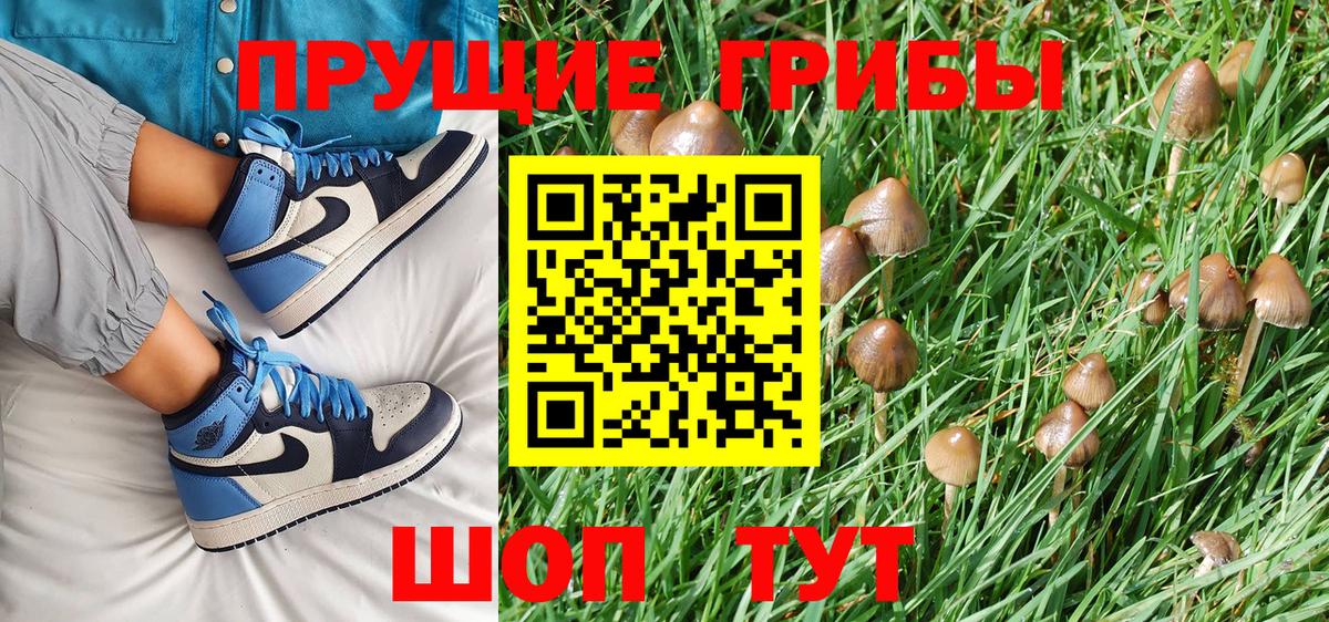 Галлюциногенные грибы Magic Shrooms Серпухов