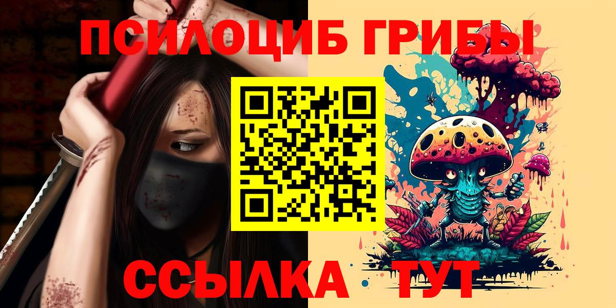 Псилоцибиновые грибы Cubensis Серпухов