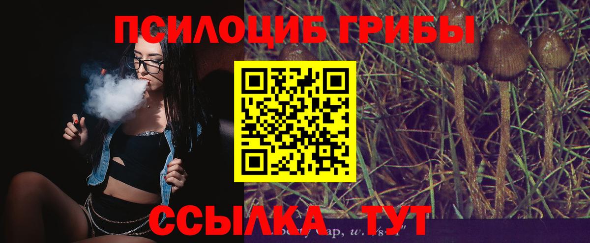 Псилоцибиновые грибы Magic Shrooms  Псилоцибиновые грибы Magic Shrooms  Вход с VPN  Серпухов 